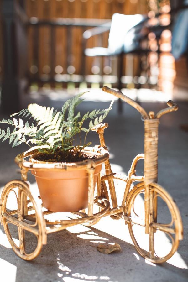 Wynkoop At Carlton: Taste Of Europe, Walk To Wineries, Dog Friendly Villa ภายนอก รูปภาพ
